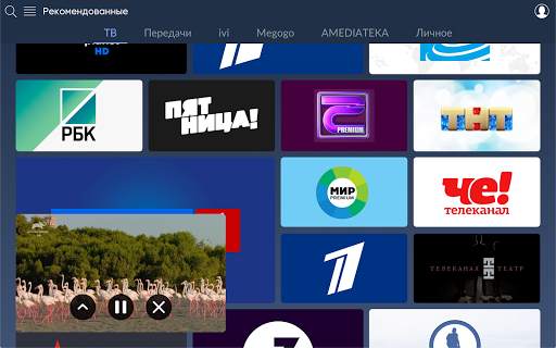 Almatel TV screenshot 23
