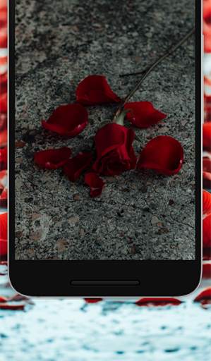 Flower Wallpaper Live - 4K Flower Wallpapers Free screenshot 7