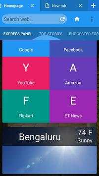 Web Browser screenshot 1
