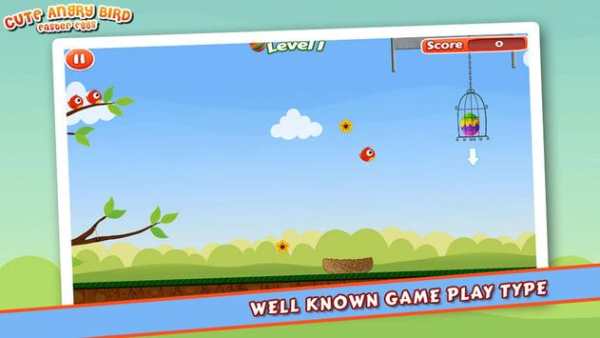 Cute Angry Bird : Eggs screenshot 8