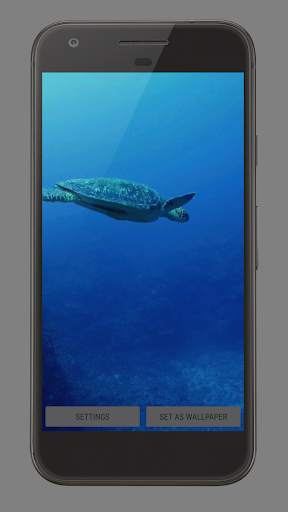 Sea Life Theme Video Wallpaper screenshot 5