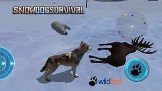 Snow Dog Survival Simulator screenshot 1