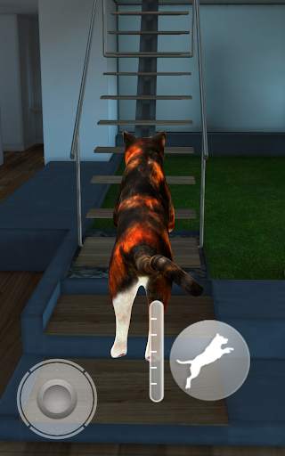 Konuşan Calico Kedisi screenshot 12