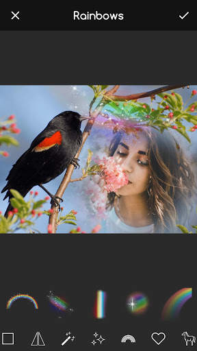 Birds Frame App 4 تصوير الشاشة