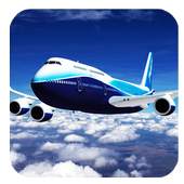 Airplane Simulator 3D 1.0