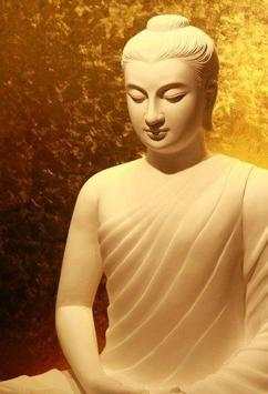 Buddha Wallpapers 8 تصوير الشاشة