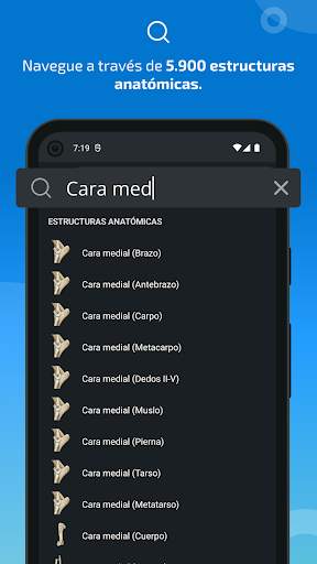 vet-Anatomy screenshot 3