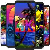4K Wallpapers Auto Wallpaper Changer 2020 1.1