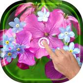 Magic Touch - Spring Flowers 4.0