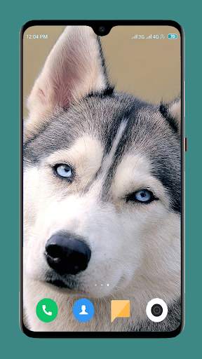 Dog Wallpaper 4K screenshot 10