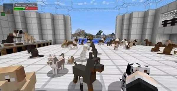 My Dogs Mod for MCPE screenshot 3
