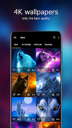 Wolf Wallpapers 4K screenshot 2