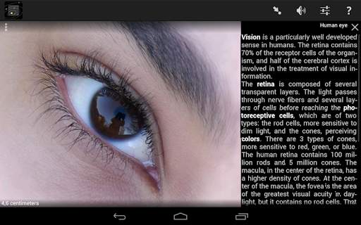 Cozmic Zoom Light screenshot 9