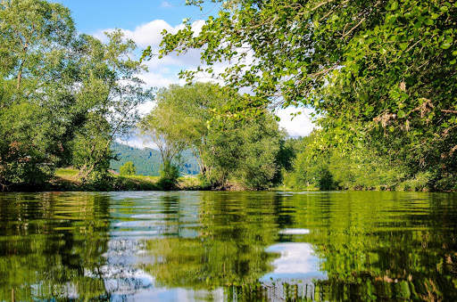 10000  Nature Wallpapers HD (Offline) screenshot 4