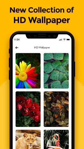 HD Wallpaper  - Auto Wallpaper Changer screenshot 3