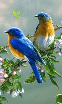 Birds Spring live wallpaper screenshot 1