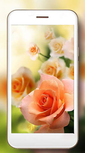Roses Gallery Live Wallpaper screenshot 7