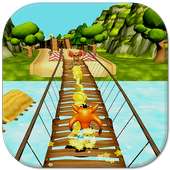 Temple Crash Jungle 3D