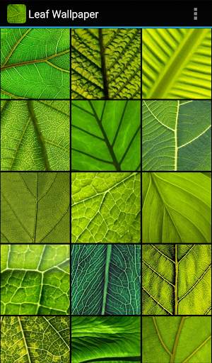 Leaf Wallpaper screenshot 1