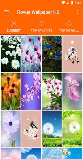 Flowers Wallpaper 4K screenshot 1