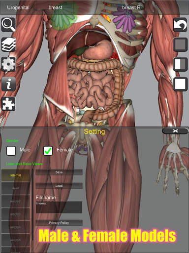 3D Bones and Organs (Anatomy) screenshot 12