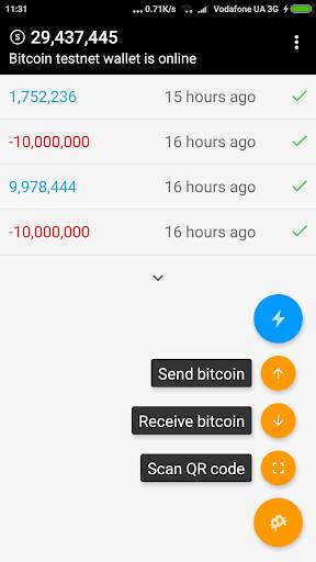 Bitcoin Lightning Wallet TESTNET screenshot 4
