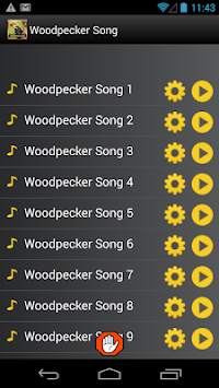 Woodpecker Bird Song screenshot 3