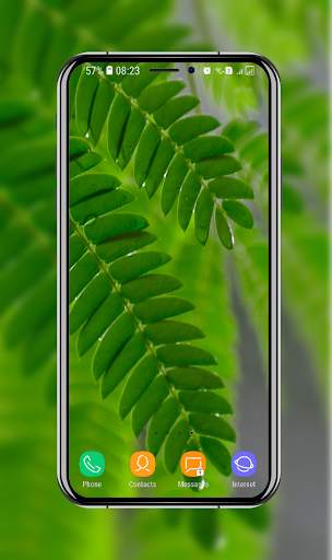 New Green Wallpaper screenshot 13