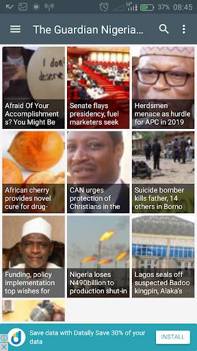 Nigeria Newspapers screenshot 3