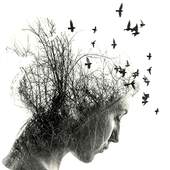 BlendMe : Double Exposure 1.10