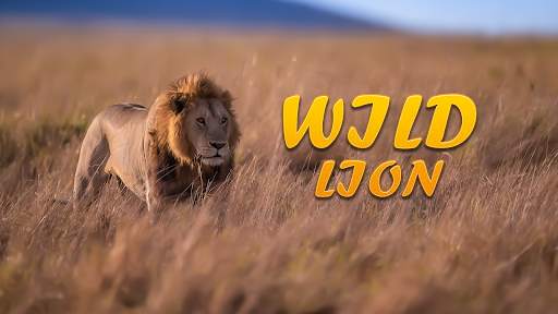 Lion Simulator Animal Games 3d screenshot 6