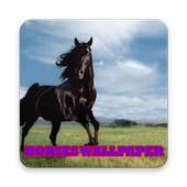 Horse Wallpapers 2017 1.0