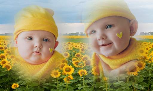 Beautiful Garden Double Photo Frame Application screenshot 13