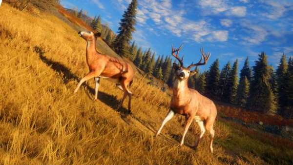 Wild Animal Hunting Game 3D स्क्रीनशॉट 3