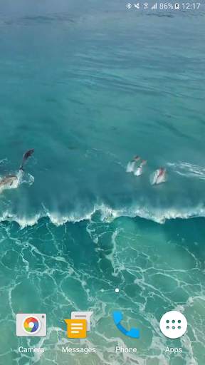 Dolphins Video Live Wallpaper screenshot 4