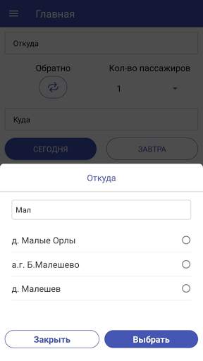 Bus Gomel-Moskva screenshot 20