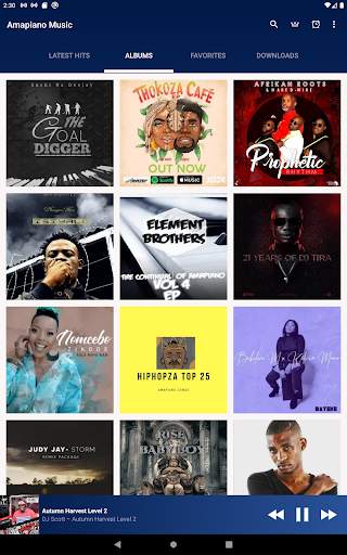 Amapiano Songs: Amapiano 2019 & Amapiano 2020 screenshot 18
