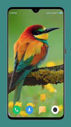 Beautiful Wallpapers 4K screenshot 12