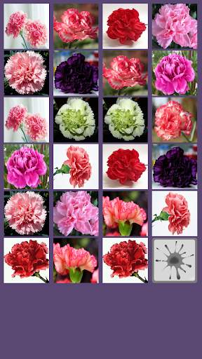 Carnation Memory Game screenshot 4