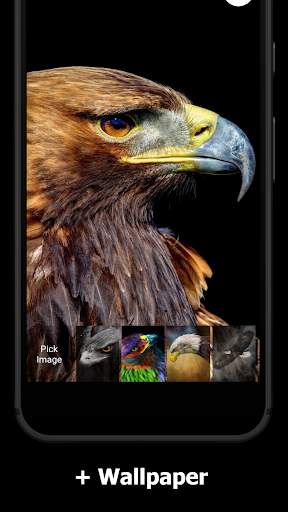 Eagle Lock Screen 5 تصوير الشاشة