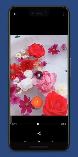Video Downloader for Facebook screenshot 2