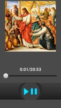 Rosary Audio English with soft background music screenshot 5