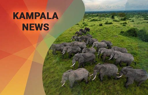 Kampala News screenshot 2