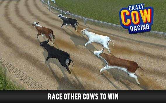 Crazy Cow Racing screenshot 3