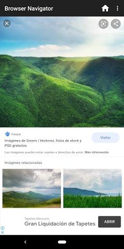 Browser Navigator screenshot 2