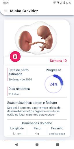 Minha Gravidez Semana a Semana screenshot 1