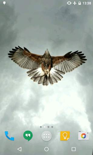 Eagle Live Wallpaper screenshot 2