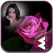 Pink Rose Photo Frames 1.15