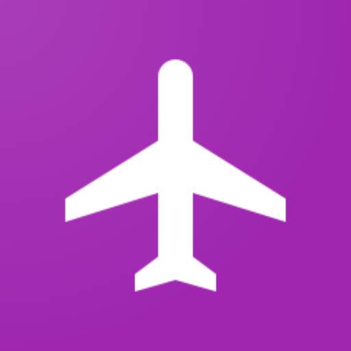 Flight Check In 1.5