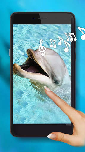 Dolphins Sounds Live Wallpaper screenshot 1